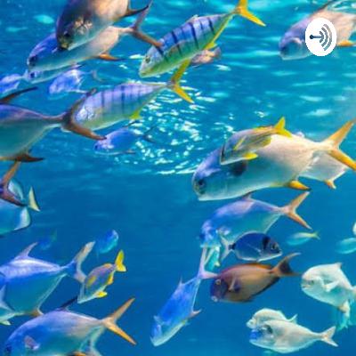Importancia de la Dinámica de Aguas Oceánicas y Continentales