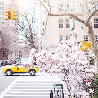 Hello spring, you’ve been missed. Hello spring, you’ve been missed.