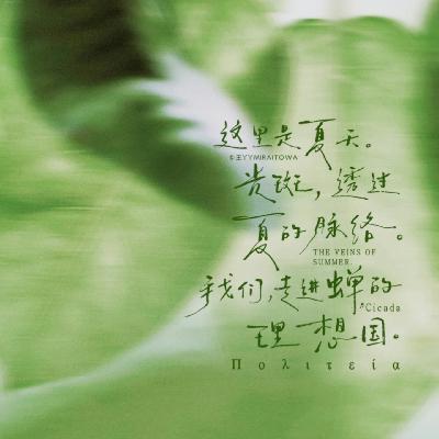 盛夏书影音：藏着绿意与爱意疯长的夏天
