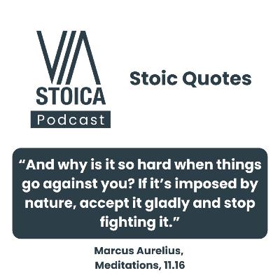 Stoic Quote: Accept What Nature Gives You — And Aim at Your True Good Stoic Quote: Accept What Nature Gives You — And Aim at Your True Good