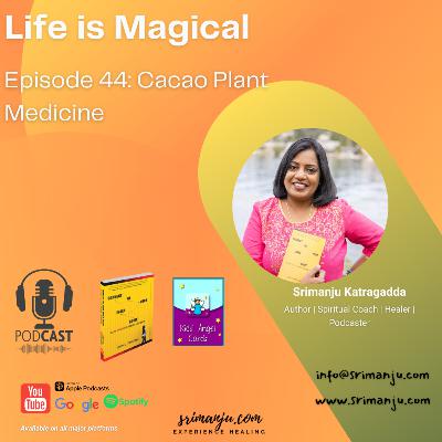 Cacao as a Plant Medicine Cacao as a Plant Medicine