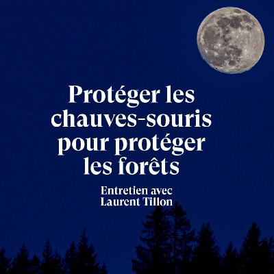Protéger les chauves-souris pour préserver les forêts - Entretien avec Laurent TIllon