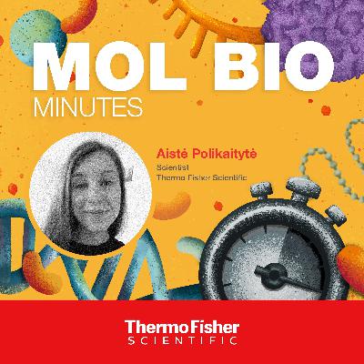 No more smears – expert tips for electrophoresis success