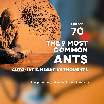 The 9 Most Common ANTS