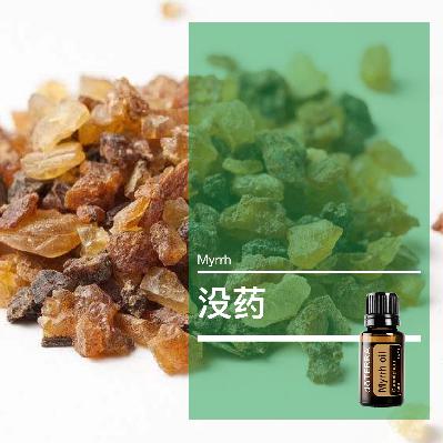 第四十四课：没药