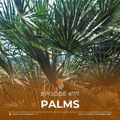 Ep#117: Palms