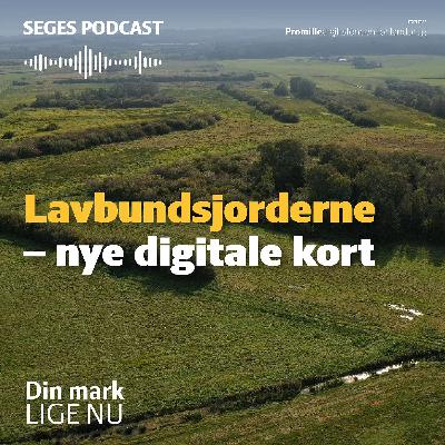 Lavbundsjorderne: Hvilken værdi skaber opdatering af digitale tørvekort? Lavbundsjorderne: Hvilken værdi skaber opdatering af digitale tørvekort?