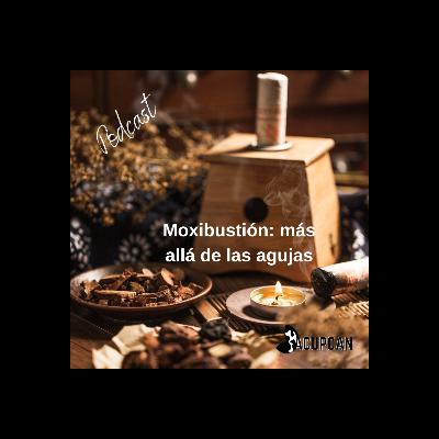 Más Allá de las Agujas: El Mundo de la Moxibustión Animal