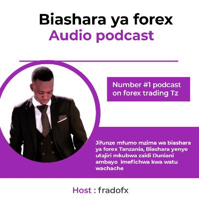 #12 : Utaratibu wa kujifunza biashara ya forex na kuielewa