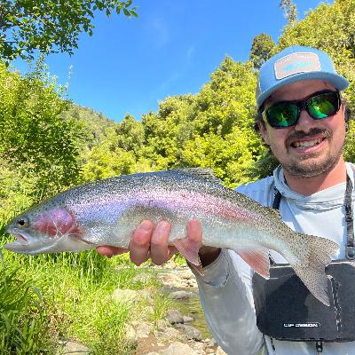 Behind The Counter - Christmas 2025