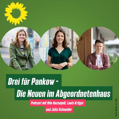 Drei für Pankow – Die Neuen im Abgeordnetenhaus