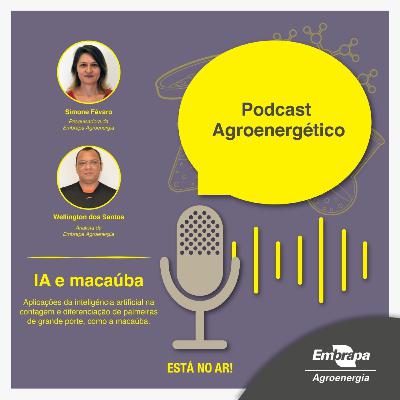 IA e Macaúba - Wellington dos Santos e Simone Fávaro