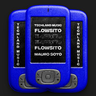 Flowsito (Original Mix) - Mauro Soto - [PROMO] - [16-AGOSTO-2024]