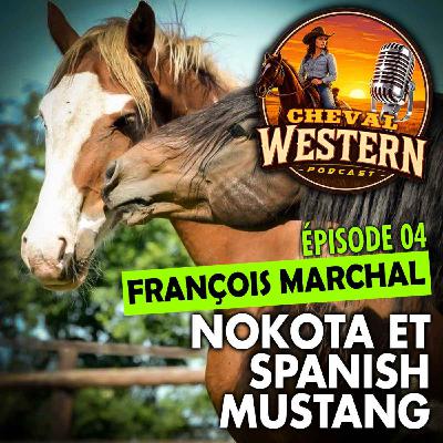 #04 : Nokotas et Spanish Mustangs #04 : Nokotas et Spanish Mustangs