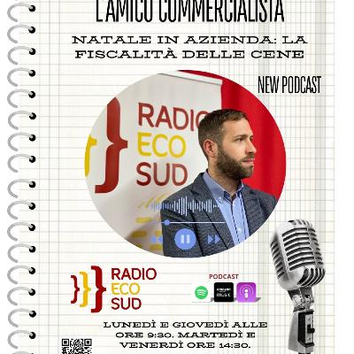 L'amico commercialista 30 puntata