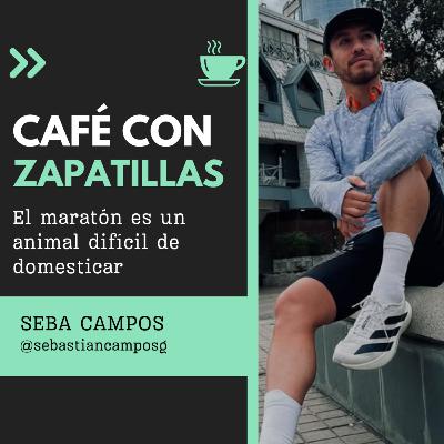 El maratón es un animal difícil de domesticar