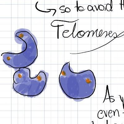 Chromosomes - Episode 14#