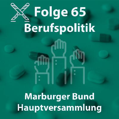 Folge 65 - Berufspolitik