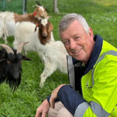 Ep 70: Colin Arnold - Graze Away Ep 70: Colin Arnold - Graze Away