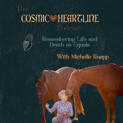 Remembering Life and Death as Equals with Michelle Knapp Remembering Life and Death as Equals with Michelle Knapp