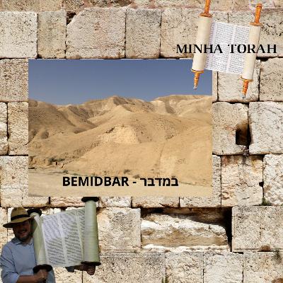 BEMIDBAR - NO DESERTO