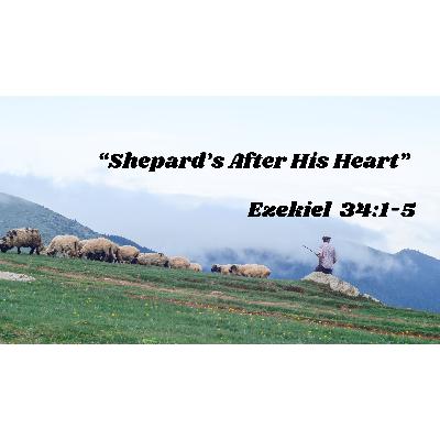 Shepard's After His Heart (Guest Speaker)
