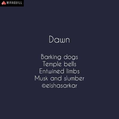 E20: HaikuJAM or Miraquill? Eisha reviews the two popular haiku apps for Android