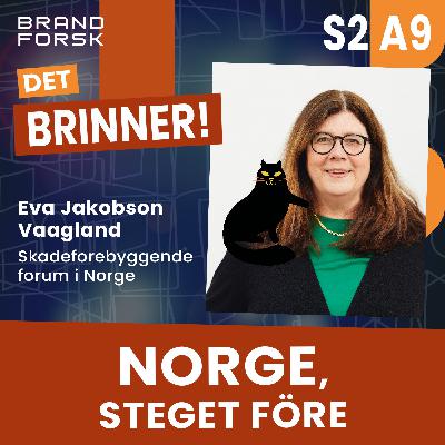 S2 A9 - Norge, steget före