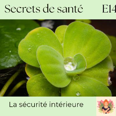 La sécurité intérieure : fondation du bien-être et de la confiance - S7E14