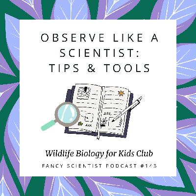 OBSERVE Like a Scientist: Tips & Tools | Wildlife Biology for Kids Club