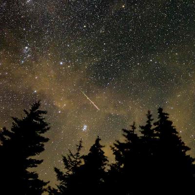 188X CE5 Persiderna kväll 1/3