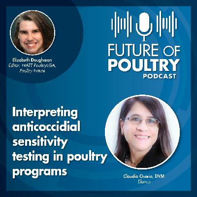 Interpreting anticoccidial sensitivity testing in poultry programs