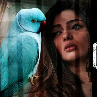 "QAIDKHANA" Last Episode of Rani Beti Raj Karegi