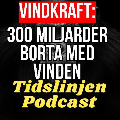 #52 - Vindkraftens totala kollaps i Norrland – Christian Steinbeck om paniken i branschen #52 - Vindkraftens totala kollaps i Norrland – Christian Steinbeck om paniken i branschen