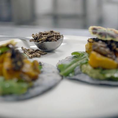 Eat More Crickets (Especially If Chocolate-Covered) Eat More Crickets (Especially If Chocolate-Covered)