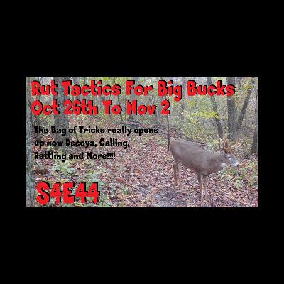 Rut tactics for Big Bucks Oct 26th to Nov 2nd The Obsession Podcast S4E44