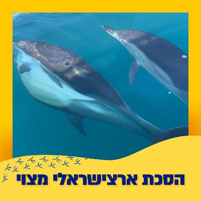 לוויתנאים