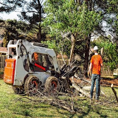 Tree Trimming Services near me Tree Trimming Services near me