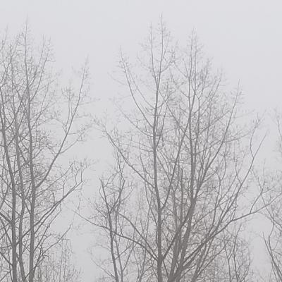 Today's weather diary March3rd2021 (unedited)