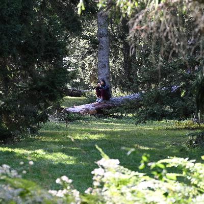 How a former politics columnist is finding awe How a former politics columnist is finding awe