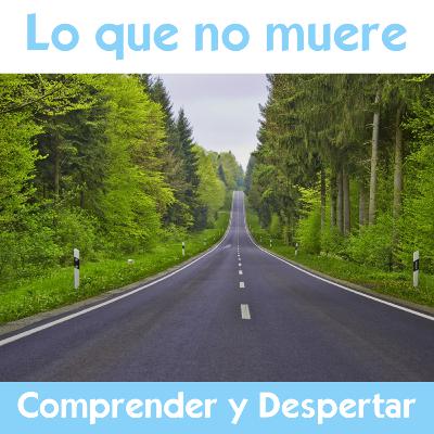 Lo que no muere