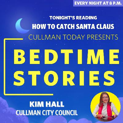 Bedtime Stories β Kim Hall reads How To Catch Santa Claus Bedtime Stories β Kim Hall reads How To Catch Santa Claus