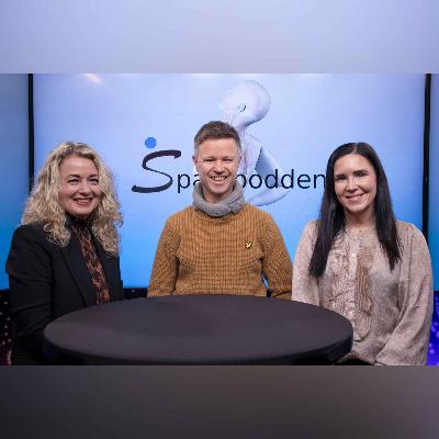 E13 - Jakten på en diagnose