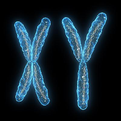 Erfelijke aandoeningen met een typische geslachtspatroon; ook het andere geslacht kan ziek worden Erfelijke aandoeningen met een typische geslachtspatroon; ook het andere geslacht kan ziek worden