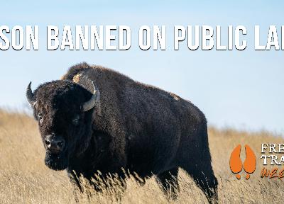 You Can't Graze Here! | Week of January 12 You Can't Graze Here! | Week of January 12