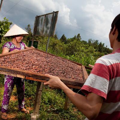 Makers Series 5: Marou, Faiseurs de Chocolat Makers Series 5: Marou, Faiseurs de Chocolat