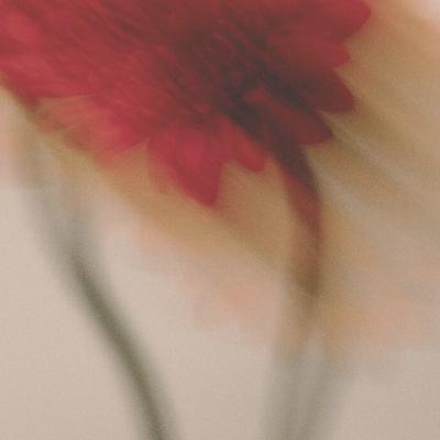 8 – Le code triche pour une enfance normale svp (Caro)