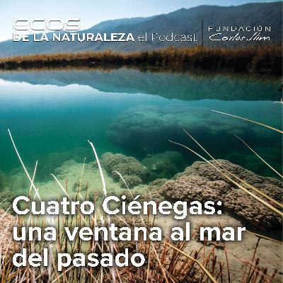 Cuatro Ciénegas: una ventana al mar del pasado: Episode #7