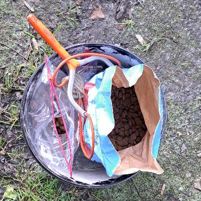 Surface Fishing 009 / Carp Fishing / E193