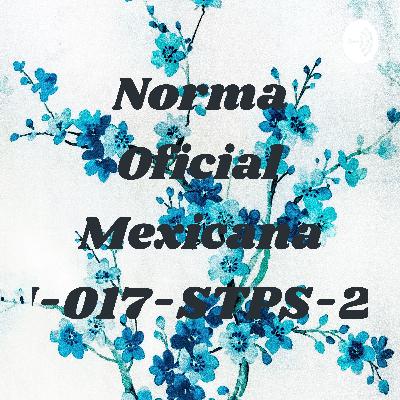 Norma oficial mexicana NOM-017-STPS-2008